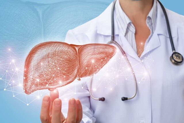 با این کارها روند پیری کبد را به تعویق بیاندازید با این کارها روند پیری کبد را به تعویق بیاندازید