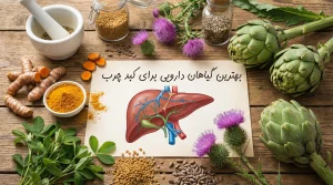 جدیدترین روش های درمان کبد چرب با طب سنتی جدیدترین روش های درمان کبد چرب با طب سنتی